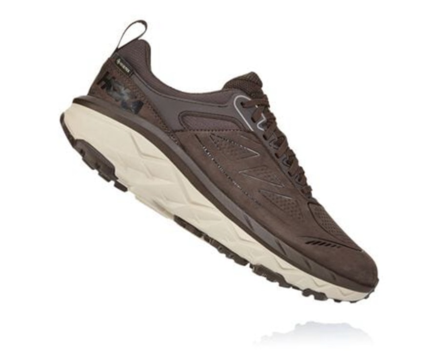 Hoka One One Trailove Tenisky Panske Hnede - Challenger Nizke GORE-TEX - 07418-VRNA